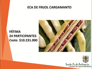 ECA DE FRIJOL CARGAMANTO
FÁTIMA
24 PARTICIPANTES
Costo $10.231.000
 