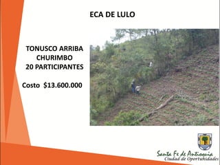 ECA DE LULO
TONUSCO ARRIBA
CHURIMBO
20 PARTICIPANTES
Costo $13.600.000
 