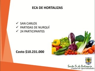 ECA DE HORTALIZAS
 SAN CARLOS
 PARTIDAS DE NURQUÍ
 24 PARTICIPANTES
Costo $10.231.000
 