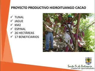 PROYECTO PRODUCTIVO HIDROITUANGO CACAO
 TUNAL
 JAGUE
 KM2
 ESPINAL
 26 HECTÁREAS
 17 BENEFICIARIOS
 