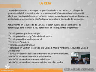 LA CEJA Una de las subsedes con mayor proyección sin duda es La Ceja, no sólo por la generosidad de los espacios, sino porque tanto el SENA como la Administración Municipal han invertido mucho esfuerzo y recursos en la creación de ambientes de aprendizaje, especialmente diseñados para atender la demanda de formación. Actualmente en la subsede de La Ceja, el SENA cuenta con 14 ambientes de aprendizaje para atender a 320 aprendices en los siguientes programas:  Tecnólogo en Agrobiotecnología Tecnólogo en Control y Calidad de Alimentos Tecnólogo en Gestión Empresarial Técnico en Panadería Tecnólogo en Construcción Tecnología en Gestión Integrada a la Calidad, Medio Ambiente, Seguridad y Salud Ocupacional. Técnico en Gestión del Talento Humano en Cultivos de Flores. Media Técnica en Asistencia Administrativa Media Técnica en Procesamiento de Fruver Media Técnica en Procesamiento de Leches y Derivados 