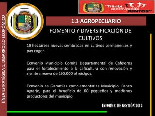 LÍNEA ESTRATÉGICA 1. DESARROLLO ECONÓMICO



                                                                    1.3 AGROPECUARIO
                                                        FOMENTO Y DIVERSIFICACIÓN DE
                                                                 CULTIVOS
                                            18 hectáreas nuevas sembradas en cultivos permanentes y
                                            pan coger.

                                            Convenio Municipio Comité Departamental de Cafeteros
                                            para el fortalecimiento a la caficultura con renovación y
                                            siembra nueva de 100.000 almácigos.

                                            Convenio de Garantías complementarias Municipio, Banco
                                            Agrario, para el beneficio de 60 pequeños y medianos
                                            productores del municipio
 