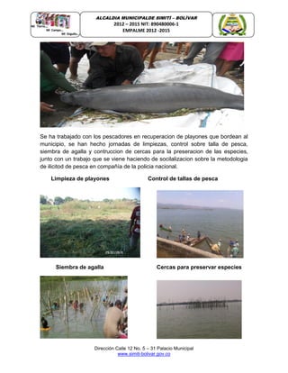 Dirección Calle 12 No. 5 – 31 Palacio Municipal
www.simiti-bolivar.gov.co
ALCALDIA MUNICIPALDE SIMITÌ – BOLÌVAR
2012 – 2015 NIT: 890480006-1
EMPALME 2012 -2015
Se ha trabajado con los pescadores en recuperacion de playones que bordean al
municipio, se han hecho jornadas de limpiezas, control sobre talla de pesca,
siembra de agalla y contruccion de cercas para la preseracion de las especies,
junto con un trabajo que se viene haciendo de socilalizacion sobre la metodologia
de ilicitod de pesca en compañía de la policia nacional.
Limpieza de playones Control de tallas de pesca
Siembra de agalla Cercas para preservar especies
 