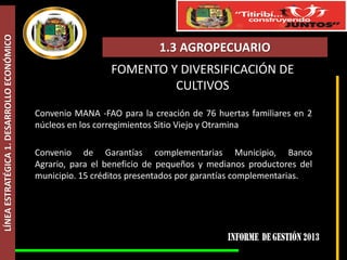 LÍNEA ESTRATÉGICA 1. DESARROLLO ECONÓMICO

1.3 AGROPECUARIO
FOMENTO Y DIVERSIFICACIÓN DE
CULTIVOS
Convenio MANA -FAO para la creación de 76 huertas familiares en 2
núcleos en los corregimientos Sitio Viejo y Otramina
Convenio de Garantías complementarias Municipio, Banco
Agrario, para el beneficio de pequeños y medianos productores del
municipio. 15 créditos presentados por garantías complementarias.

 