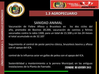 LÍNEA ESTRATÉGICA 1. DESARROLLO ECONÓMICO

1.3 AGROPECUARIO
SANIDAD ANIMAL
Vacunación de Fiebre Aftosa y Brucelosis en los dos ciclos del
año, promedio de Bovinos 20.200, vacunación de caninos y felinos
vacunados contra la rabia 1300, para un total de 21.500 y en los 24 meses
el total acumulado es de 32.107
Seguimiento al control de peste porcina clásica, brucelosis bovina y aftosa
con el apoyo del ICA.

control de la influenza aviar en gallos de pelea con el apoyo del ICA.
Sostenibilidad y mantenimiento a la perrera Municipal; en las antiguas
instalaciones de la Planta de Faenado.

 