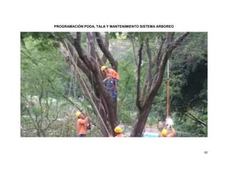 82
PROGRAMACIÓN PODA, TALA Y MANTENIMIENTO SISTEMA ARBOREO
 