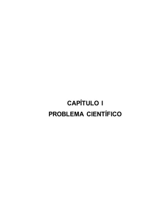 13
CAPÍTULO I
PROBLEMA CIENTÍFICO
 