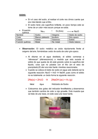 23
SODIO:
 En el caso del sodio, al realizar el corte nos dimos cuenta que
era más blando que el litio.
 El sodio tiene una superficie brillante, en poco tiempo este se
torna de un color más oscuro porque se oxida.
 Ecuación
química
Na(s) O2 (Aire) Na2O
Nombre Sodio Oxigeno Oxido de sodio
Color Blanco plateado Incoloro Gris opaco
Estado Solido Gaseoso Solido
Función química Metal No metal Oxido básico
 Observación: El sodio metálico se oxida rápidamente frente al
oxigeno del aire, formándose oxido de sodio de color gris opaco.
 Al diluirse en el agua destilada, el sólido comienza a
“efervescer” (efervescencia) a medida que esto sucede el
sólido (lo que queda de él) está girando sobre la superficie del
líquido, cosa que no pasaba con el litio (en el vaso de
precipitado).El olor era más fuerte mientras reaccionaba.
 Cuando se coloca el óxido de sodio en agua solo debería ser la
siguiente reacción: Na2O + H2O  NaOH, pues como el sólido
no es totalmente un óxido forma la siguiente reacción.
2Na(s) + 2H2O  2NaOH (ac) + H2 (g)
Metal Agua Hidróxido de Sodio
 Colocamos dos gotas del indicador fenolftaleína y observamos
que también cambia de color a rojo grosella. Esto muestra que
se trata de una base, en este caso una base fuerte.
 