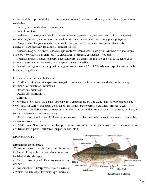 Informe Sobre Pescados Y Mariscos