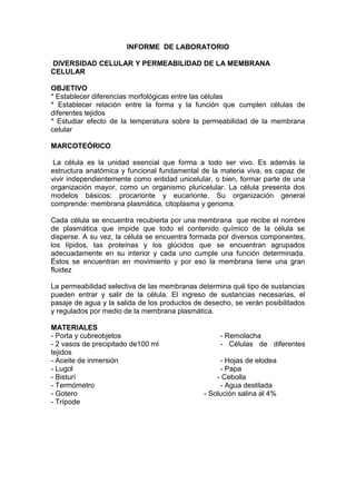 INFORME DE LABORATORIO
DIVERSIDAD CELULAR Y PERMEABILIDAD DE LA MEMBRANA
CELULAR
OBJETIVO
* Establecer diferencias morfológicas entre las células
* Establecer relación entre la forma y la función que cumplen células de
diferentes tejidos
* Estudiar efecto de la temperatura sobre la permeabilidad de la membrana
celular
MARCOTEÓRICO
La célula es la unidad esencial que forma a todo ser vivo. Es además la
estructura anatómica y funcional fundamental de la materia viva, es capaz de
vivir independientemente como entidad unicelular, o bien, formar parte de una
organización mayor, como un organismo pluricelular. La célula presenta dos
modelos básicos: procarionte y eucarionte. Su organización general
comprende: membrana plasmática, citoplasma y genoma.
Cada célula se encuentra recubierta por una membrana que recibe el nombre
de plasmática que impide que todo el contenido químico de la célula se
disperse. A su vez, la célula se encuentra formada por diversos componentes,
los lípidos, las proteínas y los glúcidos que se encuentran agrupados
adecuadamente en su interior y cada uno cumple una función determinada.
Éstos se encuentran en movimiento y por eso la membrana tiene una gran
fluidez
La permeabilidad selectiva de las membranas determina qué tipo de sustancias
pueden entrar y salir de la célula. El ingreso de sustancias necesarias, el
pasaje de agua y la salida de los productos de desecho, se verán posibilitados
y regulados por medio de la membrana plasmática.
MATERIALES
- Porta y cubreobjetos - Remolacha
- 2 vasos de precipitado de100 ml - Células de diferentes
tejidos
- Aceite de inmersión - Hojas de elodea
- Lugol - Papa
- Bisturí - Cebolla
- Termómetro - Agua destilada
- Gotero - Solución salina al 4%
- Trípode
 