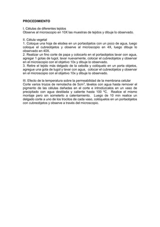 PROCEDIMIENTO
I. Células de diferentes tejidos
Observe al microscopio en 10X las muestras de tejidos y dibuje lo observado.
II. Célula vegetal
1. Coloque una hoja de elodea en un portaobjetos con un poco de agua, luego
coloque el cubreobjetos y observe al microscopio en 4X, luego dibuje lo
observado en 40X.
2. Realizar un fino corte de papa y colocarlo en el portaobjetos lavar con agua,
agregar 1 gotas de lugol, lavar nuevamente, colocar el cubreobjetos y observar
en el microscopio con el objetivo 10x y dibuje lo observado.
3. Retire el tejido más delgado de la cebolla y colóquelo en un porta objetos,
agregue una gota de lugol y lavar con agua, colocar el cubreobjetos y observar
en el microscopio con el objetivo 10x y dibuje lo observado.
III. Efecto de la temperatura sobre la permeabilidad de la membrana celular
Corte varios trozos de remolacha de 5cm3, lávelos con agua hasta remover el
pigmento de las células dañadas en el corte e introdúzcalos en un vaso de
precipitado con agua destilada y caliente hasta 100 ºC. Realice el mismo
montaje pero sin someterlo a calentamiento. Luego de 10 min realice un
delgado corte a uno de los trocitos de cada vaso, colóquelos en un portaobjetos
con cubreobjetos y observe a través del microscopio.
 