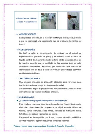 Todo es veneno, nada es veneno, todo depende de la dosis. (Paracelso)
6.Reacción de Hehner:
Violeta. + característico
9. OBSERVACIONES
En la práctica presente, en la reacción de Marquis no dio positivo debido
a que se reemplazó una sustancia la cual es el cloruro de morfina por
formol.
10.CONCLUSIONES
Se llevó a cabo la administración de metanol en el animal de
experimentación (vísceras de pollo) y se observó como el color del
hígado cambió drásticamente dando un tono pálido no característico de
la muestra, además que el destilado de las vísceras torno un color
amarillento transparente. Así mismo por medio de cada reacción de
identificación que se llevó a cabo se concluyó que en todos obtuvimos
positivos característicos.
11. RECOMENDACIONES
Usar siempre el equipo de protección adecuado para minimizar algún
tipo de accidente que ponga en riesgo nuestra salud.
Se recomienda seguir el procedimiento minuciosamente, pues así no se
corre el riesgo de obtener resultados erróneos.
12.CUESTIONARIO
¿Cuáles son las propiedades químicas del metanol?
Este producto reacciona violentamente con bromo, hipoclorito de sodio,
dietil zinc, disoluciones de compuestos de alquil aluminio, trióxido de
fósforo, cloruro cianúrico, ácido nítrico, peróxido de hidrógeno, sodio,
terbutóxido de potasio y perclorato de plomo.
En general, es incompatible con ácidos, cloruros de ácido, anhídridos,
agentes oxidantes, agentes reductores y metales alcalinos.
 