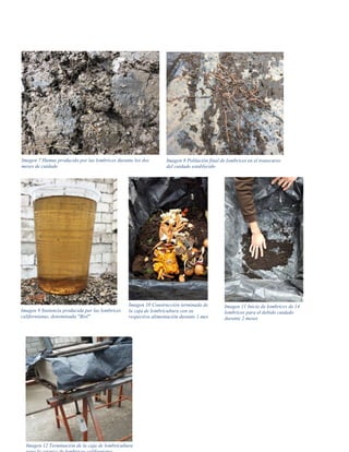 Imagen 10 Construcción terminada de
la caja de lombricultura con su
respectiva alimentación durante 1 mes
Imagen 11 Inicio de lombrices de 14
lombrices para el debido cuidado
durante 2 meses
Imagen 12 Terminación de la caja de lombricultura
Imagen 7 Humus producido por las lombrices durante los dos
meses de cuidado
Imagen 8 Población final de lombrices en el transcurso
del cuidado establecido
Imagen 9 Sustancia producida por las lombrices
californianas, denominada "Biol"
 