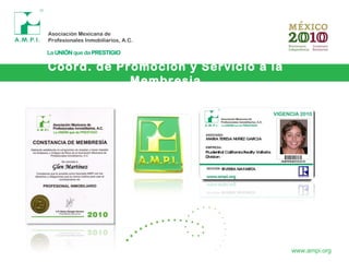 Coord. de Promoción y Servicio a la
Membresia
www.ampi.org
 