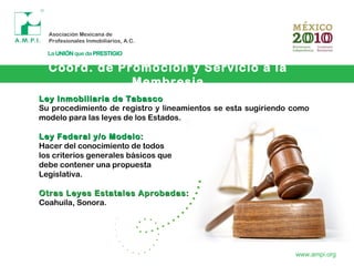 Coord. de Promoción y Servicio a la
Membresia
www.ampi.org
Ley Inmobiliaria de TabascoLey Inmobiliaria de Tabasco
Su procedimiento de registro y lineamientos se esta sugiriendo como
modelo para las leyes de los Estados.
Ley Federal y/o Modelo:Ley Federal y/o Modelo:
Hacer del conocimiento de todos
los criterios generales básicos que
debe contener una propuesta
Legislativa.
Otras Leyes Estatales Aprobadas:Otras Leyes Estatales Aprobadas:
Coahuila, Sonora.
 