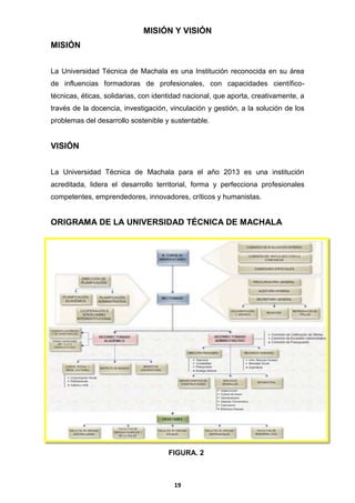 MISIÓN Y VISIÓN
MISIÓN
La Universidad Técnica de Machala es una Institución reconocida en su área
de influencias formadoras de profesionales, con capacidades científicotécnicas, éticas, solidarias, con identidad nacional, que aporta, creativamente, a
través de la docencia, investigación, vinculación y gestión, a la solución de los
problemas del desarrollo sostenible y sustentable.

VISIÓN
La Universidad Técnica de Machala para el año 2013 es una institución
acreditada, lidera el desarrollo territorial, forma y perfecciona profesionales
competentes, emprendedores, innovadores, críticos y humanistas.

ORIGRAMA DE LA UNIVERSIDAD TÉCNICA DE MACHALA

FIGURA. 2

19

 