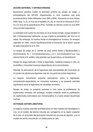 ACCIÓN ANTIVIRAL Y ANTIBACTERIANA
Numerosos estudios avalan la actividad antiviral de sangre de drago, y
principalmente del SP-303. Experimentos in vitro muestran que esta
proantocianidina inhibe diferentes virus DNA y RNA, incluyendo el virus herpes
(HSV tipos 1 y 2), el virus de la hepatitis (A y B), el virus de la influenza A (FLUA) y el virus de la parainfluenza (PIV). También es efectivo contra el virus RSV
(virus sincitial respiratorio).
La actividad viral contra los dos tipos de virus herpes simple, incluye también el
tipo I timidinaquinasa deficiente, ya que impide la penetración del virus en la
célula. Sin embargo, es inactivo frente el citomegalovirus humano. En ensayos
vaginales en ratón, reduce significativamente la formación de la lesión cuando
se aplica tópicamente al 5-10%.
La sangre de drago de C. lechleri es poco activa frente a Bacillussubtilis y
Escherichiacoli. El 1, 3,5-trimetoxibenceno y el 2, 4,6-trimetoxifenol son muy
activos frente a B. subtilis, más potentes que la penicilina y el cloranfenicol.
Sangre de drago estimula o inhibe la fagocitosis, mediante ensayos in vitro, en
neutrófilos y monocitos humanos dependiendo de la concentración.
Además, la estimulación de la fagocitosis está acompañada del incremento en
el número de células que fagocitan más de una partícula (índice fagocítico).
La

taspina,

únicamente

presenta

estimulación

sobre

la

fagocitosis,

concentración-dependiente, en monocitos humanos, y no presenta actividad
significativa sobre la fagocitosis de neutrófilos humanos.
Sangre de drago no presenta actividad in vitro sobre la proliferación de
esplenocitos normales. Sin embargo, muestra inhibición sobre la proliferación
de esplenocitos estimulados con Concanavalina A y sobre células leucémicas
murinas.
ACTIVIDAD ANTIINFLAMATORIA
La taspina muestra actividad antiinflamatoria en tres modelos farmacológicos in
vivo: en el modelo del edema inducido por carragenina en la región suplantar
de la rata, en el modelo del granuloma inducido por torunda de algodón, y en el
modelo de artritis inducida por un coadyuvante en rata.

22

 