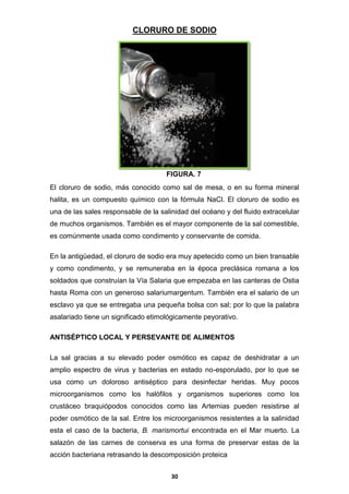 CLORURO DE SODIO

FIGURA. 7
El cloruro de sodio, más conocido como sal de mesa, o en su forma mineral
halita, es un compuesto químico con la fórmula NaCl. El cloruro de sodio es
una de las sales responsable de la salinidad del océano y del fluido extracelular
de muchos organismos. También es el mayor componente de la sal comestible,
es comúnmente usada como condimento y conservante de comida.
En la antigüedad, el cloruro de sodio era muy apetecido como un bien transable
y como condimento, y se remuneraba en la época preclásica romana a los
soldados que construían la Vía Salaria que empezaba en las canteras de Ostia
hasta Roma con un generoso salariumargentum. También era el salario de un
esclavo ya que se entregaba una pequeña bolsa con sal; por lo que la palabra
asalariado tiene un significado etimológicamente peyorativo.
ANTISÉPTICO LOCAL Y PERSEVANTE DE ALIMENTOS
La sal gracias a su elevado poder osmótico es capaz de deshidratar a un
amplio espectro de virus y bacterias en estado no-esporulado, por lo que se
usa como un doloroso antiséptico para desinfectar heridas. Muy pocos
microorganismos como los halófilos y organismos superiores como los
crustáceo braquiópodos conocidos como las Artemias pueden resistirse al
poder osmótico de la sal. Entre los microorganismos resistentes a la salinidad
esta el caso de la bacteria, B. marismortui encontrada en el Mar muerto. La
salazón de las carnes de conserva es una forma de preservar estas de la
acción bacteriana retrasando la descomposición proteica
30

 