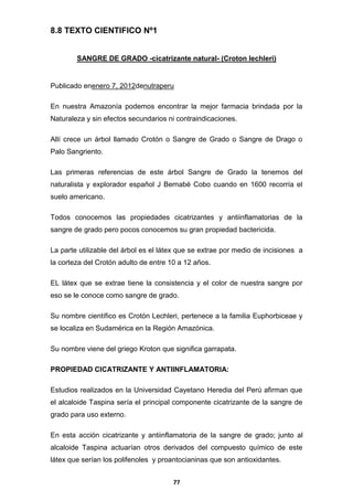 8.8 TEXTO CIENTIFICO Nº1
SANGRE DE GRADO -cicatrizante natural- (Croton lechleri)

Publicado enenero 7, 2012denutraperu
En nuestra Amazonía podemos encontrar la mejor farmacia brindada por la
Naturaleza y sin efectos secundarios ni contraindicaciones.
Allí crece un árbol llamado Crotón o Sangre de Grado o Sangre de Drago o
Palo Sangriento.
Las primeras referencias de este árbol Sangre de Grado la tenemos del
naturalista y explorador español J Bernabé Cobo cuando en 1600 recorría el
suelo americano.
Todos conocemos las propiedades cicatrizantes y antiinflamatorias de la
sangre de grado pero pocos conocemos su gran propiedad bactericida.
La parte utilizable del árbol es el látex que se extrae por medio de incisiones a
la corteza del Crotón adulto de entre 10 a 12 años.
EL látex que se extrae tiene la consistencia y el color de nuestra sangre por
eso se le conoce como sangre de grado.
Su nombre científico es Crotón Lechleri, pertenece a la familia Euphorbiceae y
se localiza en Sudamérica en la Región Amazónica.
Su nombre viene del griego Kroton que significa garrapata.
PROPIEDAD CICATRIZANTE Y ANTIINFLAMATORIA:
Estudios realizados en la Universidad Cayetano Heredia del Perú afirman que
el alcaloide Taspina sería el principal componente cicatrizante de la sangre de
grado para uso externo.
En esta acción cicatrizante y antiinflamatoria de la sangre de grado; junto al
alcaloide Taspina actuarían otros derivados del compuesto químico de este
látex que serían los polifenoles y proantocianinas que son antioxidantes.
77

 