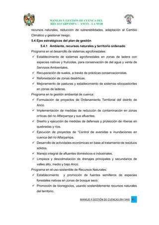 INFORME DE MANEJO Y GESTION DE CUENCAS.pdf