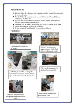 PROCEDIMIENTO
1. Limpiar el área de trabajo con una franela con alcohol hasta desinfectar y tener
la asepsia adecuada.
2. Rotular 4 tubos de ensayo respectivamente (E(Etanol), F(formol), H(agua
destilada) y M(Metanol))
3. Colocar 2ml, de cada uno de los reactivos alcohol, formol, agua destilada,
respectivamente en los tubos rotulados.
4. Adicionar 2ml, de muestra de Gluconato de calcio en cada uno de los tubos.
5. Agitar vigorosamente los tubos por 5 minutos.
6. Prestar atención la solubilidad de los tubos para el informe.
PROTOCOLO:
Rotular 3 tubos de ensayo
respectivamente (A(alcohol),
F(formol), H(agua destilada)
Añadir 2ml, en los tubos de ensayo de
cada uno de los reactivos alcohol, formol,
agua destilada con el uso de la campana
Limpiar y desinfectar el área
de trabajo
Depositar la muestra en un
vaso para poder añadirla en los
tubos
Tubos con 2 ml de agua (H),
alcohol (A), y formol (F)
Añadir 2 ml de la muestra de
Gluconato de calcio
 