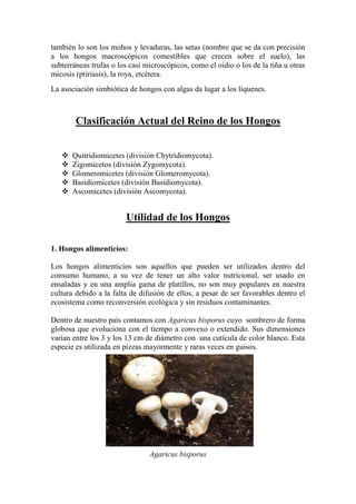 también lo son los mohos y levaduras, las setas (nombre que se da con precisión
a los hongos macroscópicos comestibles que crecen sobre el suelo), las
subterráneas trufas o los casi microscópicos, como el oidio o los de la tiña u otras
micosis (ptiriasis), la roya, etcétera.
La asociación simbiótica de hongos con algas da lugar a los líquenes.
Clasificación Actual del Reino de los Hongos
 Quitridiomicetes (división Chytridiomycota).
 Zigomicetos (división Zygomycota).
 Glomeromicetes (división Glomeromycota).
 Basidiomicetes (división Basidiomycota).
 Ascomicetes (división Ascomycota).
Utilidad de los Hongos
1. Hongos alimenticios:
Los hongos alimenticios son aquellos que pueden ser utilizados dentro del
consumo humano, a su vez de tener un alto valor nutricional, ser usado en
ensaladas y en una amplia gama de platillos, no son muy populares en nuestra
cultura debido a la falta de difusión de ellos, a pesar de ser favorables dentro el
ecosistema como reconversión ecológica y sin residuos contaminantes.
Dentro de nuestro país contamos con Agaricus bisporus cuyo sombrero de forma
globosa que evoluciona con el tiempo a convexo o extendido. Sus dimensiones
varían entre los 3 y los 13 cm de diámetro con una cutícula de color blanco. Esta
especie es utilizada en pizzas mayormente y raras veces en guisos.
Agaricus bisporus
 
