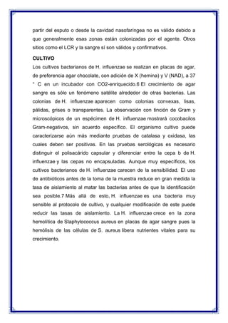 partir del esputo o desde la cavidad nasofaríngea no es válido debido a
que generalmente esas zonas están colonizadas por el agente. Otros
sitios como el LCR y la sangre sí son válidos y confirmativos.
CULTIVO
Los cultivos bacterianos de H. influenzae se realizan en placas de agar,
de preferencia agar chocolate, con adición de X (hemina) y V (NAD), a 37
° C en un incubador con CO2-enriquecido.6 El crecimiento de agar
sangre es sólo un fenómeno satélite alrededor de otras bacterias. Las
colonias de H. influenzae aparecen como colonias convexas, lisas,
pálidas, grises o transparentes. La observación con tinción de Gram y
microscópicos de un espécimen de H. influenzae mostrará cocobacilos
Gram-negativos, sin acuerdo específico. El organismo cultivo puede
caracterizarse aún más mediante pruebas de catalasa y oxidasa, las
cuales deben ser positivas. En las pruebas serológicas es necesario
distinguir el polisacárido capsular y diferenciar entre la cepa b de H.
influenzae y las cepas no encapsuladas. Aunque muy específicos, los
cultivos bacterianos de H. influenzae carecen de la sensibilidad. El uso
de antibióticos antes de la toma de la muestra reduce en gran medida la
tasa de aislamiento al matar las bacterias antes de que la identificación
sea posible.7 Más allá de esto, H. influenzae es una bacteria muy
sensible al protocolo de cultivo, y cualquier modificación de este puede
reducir las tasas de aislamiento. La H. influenzae crece en la zona
hemolítica de Staphylococcus aureus en placas de agar sangre pues la
hemólisis de las células de S. aureus libera nutrientes vitales para su
crecimiento.

 