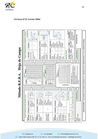 46
10.2 Anexo Nº 02 Formato: REBA
 
