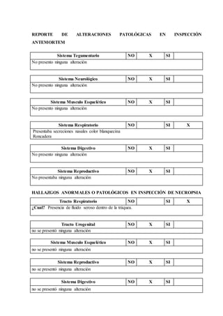 REPORTE DE ALTERACIONES PATOLÓGICAS EN INSPECCIÓN
ANTEMORTEM
Sistema Tegumentario NO X SI
No presento ninguna alteración
Sistema Neurológico NO X SI
No presento ninguna alteración
Sistema Musculo Esquelético NO X SI
No presento ninguna alteración
Sistema Respiratorio NO SI X
Presentaba secreciones nasales color blanquecina
Roncadera
Sistema Digestivo NO X SI
No presento ninguna alteración
Sistema Reproductivo NO X SI
No presentaba ninguna alteración
HALLAZGOS ANORMALES O PATOLÓGICOS EN INSPECCIÓN DE NECROPSIA
Tracto Respiratorio NO SI X
¿Cual? Presencia de fluido seroso dentro de la tráquea.
Tracto Urogenital NO X SI
no se presentó ninguna alteración
Sistema Musculo Esquelético NO X SI
no se presentó ninguna alteración
Sistema Reproductivo NO X SI
no se presentó ninguna alteración
Sistema Digestivo NO X SI
no se presentó ninguna alteración
 