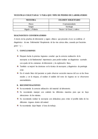 MUESTRAS COLECTADAS Y PARA QUE TIPO DE PEDIDO DE LABORATORIO
MUESTRA EXAMEN SOLICITADO
Heces Coproparasitario
Sangre Serología
Hígado y Pulmón Tincion de Gram y cultivo.
DIAGNOSTICO CONFIRMATORIO
A través de las pruebas de laboratorio y signos clínicos que presento el ave se confirma el
diagnóstico de una Enfermedad Respiratoria de las vías aéreas altas, causada por bacterias
gram + y -.
7. CONCLUSIONES
Después hecha la práctica logramos concluir que la correcta realización de la
necropsia es de fundamental importancia para poder realizar un diagnóstico acertado
con ayuda de los exámenes de laboratorio y la exploración física.
También se mejoró las destrezas en la técnica de necropsia y diagnóstico de patología
aviar.
En el estado físico del paciente se pudo observar secreción mucosa del ave en las fosas
nasales y en la tráquea, al realizar el análisis del resto de órganos no se observaron
anormalidades.
8. RECOMENDACIONES
Se recomienda la correcta utilización del material de laboratorio.
Se recomienda manejar con cuidado las diferentes muestras para que no haya
alteraciones de las mismas.
Se recomienda realizar la necropsia con delicadeza para evitar el posible daño de los
diferentes órganos dentro del animal.
Se recomienda dejar limpio el área de trabajo.
 