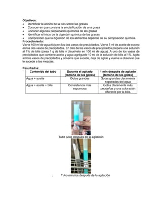 Objetivos: 
 Identificar la acción de la bilis sobre las grasas 
 Conocer en que consiste la emulsificación de una grasa 
 Conocer algunas propiedades químicas de las grasas 
 Identificar el inicio de la digestión química de las grasas 
 Comprender que la digestión de los alimentos depende de su composición química. 
Procedimiento: 
Vierte 100 ml de agua tibia en los dos vasos de precipitados. Vierte 5 ml de aceite de cocina 
en los dos vasos de precipitados. En otro de los vasos de precipitados prepara una solución 
al 1% de bilis (pesa 1 g de bilis y disuélvelo en 100 ml de agua). A uno de los vasos de 
precipitados que contiene aceite y agua agréguele 10 ml de la solución de bilis al 1%. Agita 
ambos vasos de precipitados y observa que sucede, deja de agitar y vuelve a observar que 
le sucede a las mezclas. 
Resultados: 
Contenido del tubo Durante el agitado 
(tamaño de las gotas) 
1 min después de agitarlo 
(tamaño de las gotas) 
Agua + aceite Gotas grandes Gotas grandes claramente 
separadas del agua 
Agua + aceite + bilis Consistencia más 
espumosa 
Gotas claramente más 
pequeñas y una coloración 
diferente por la bilis. 
Tubo justo después de la agitación 
. Tubo minutos después de la agitación 
 
