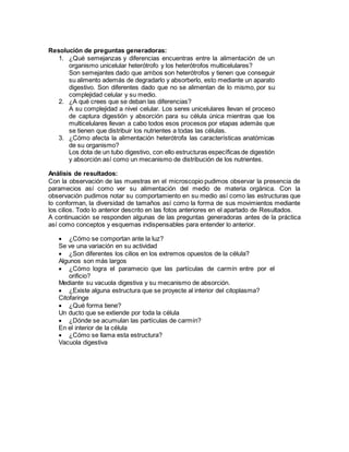 Resolución de preguntas generadoras: 
1. ¿Qué semejanzas y diferencias encuentras entre la alimentación de un 
organismo unicelular heterótrofo y los heterótrofos multicelulares? 
Son semejantes dado que ambos son heterótrofos y tienen que conseguir 
su alimento además de degradarlo y absorberlo, esto mediante un aparato 
digestivo. Son diferentes dado que no se alimentan de lo mismo, por su 
complejidad celular y su medio. 
2. ¿A qué crees que se deban las diferencias? 
A su complejidad a nivel celular. Los seres unicelulares llevan el proceso 
de captura digestión y absorción para su célula única mientras que los 
multicelulares llevan a cabo todos esos procesos por etapas además que 
se tienen que distribuir los nutrientes a todas las células. 
3. ¿Cómo afecta la alimentación heterótrofa las características anatómicas 
de su organismo? 
Los dota de un tubo digestivo, con ello estructuras específicas de digestión 
y absorción así como un mecanismo de distribución de los nutrientes. 
Análisis de resultados: 
Con la observación de las muestras en el microscopio pudimos observar la presencia de 
paramecios así como ver su alimentación del medio de materia orgánica. Con la 
observación pudimos notar su comportamiento en su medio así como las estructuras que 
lo conforman, la diversidad de tamaños así como la forma de sus movimientos mediante 
los cilios. Todo lo anterior descrito en las fotos anteriores en el apartado de Resultados. 
A continuación se responden algunas de las preguntas generadoras antes de la práctica 
así como conceptos y esquemas indispensables para entender lo anterior. 
 ¿Cómo se comportan ante la luz? 
Se ve una variación en su actividad 
 ¿Son diferentes los cilios en los extremos opuestos de la célula? 
Algunos son más largos 
 ¿Cómo logra el paramecio que las partículas de carmín entre por el 
orificio? 
Mediante su vacuola digestiva y su mecanismo de absorción. 
 ¿Existe alguna estructura que se proyecte al interior del citoplasma? 
Citofaringe 
 ¿Qué forma tiene? 
Un ducto que se extiende por toda la célula 
 ¿Dónde se acumulan las partículas de carmín? 
En el interior de la célula 
 ¿Cómo se llama esta estructura? 
Vacuola digestiva 
 
