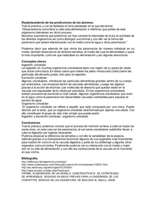 Replanteamiento de las predicciones de los alumnos: 
Tras la práctica, y con la hipótesis al inicio planteada en la que decíamos: 
“Observaremos como lleva a cabo esta alimentación e inferimos que partes de este 
organismo intervienen en dicho proceso. 
Nosotros suponemos que podremos ver tras cambiar la intensidad de la luz la actividad de 
los distintos organismos así como distinguir sus formas y con ello ver la forma del 
paramecio que estará interactuando con el medio como el agua y otros paramecios.” 
Podemos decir que además de que vimos los paramecios de manera individual en su 
medio, también observamos de distintos tamaños, el medio del cual se alimentaban y quizá 
lo más importante, como es que realizaban su alimentación y así algunas estructuras. 
Conceptos claves: 
Ingestión unicelular: 
La ingestión en muchos organismos unicelulares tiene una región de su pared de célula 
que actúe como boca. En estos casos que rodean los pelos minúsculos (cilios) barra las 
partículas del alimento juntas, listo para la ingestión. 
Excreción unicelular: 
Algunos unicelulares, introducen las partículas alimenticias grandes dentro de su cuerpo 
por endocitosis. Las empacan dentro de vacuolas alimenticias, y luego las digieren 
gracias a la acción de enzimas. Las moléculas de desecho que quedan están en la 
vacuola son expulsadas de la célula por exocitosis. En los organismos unicelulares 
existen procesos de excreción a nivel celular. Algunos organismos unicelulares que viven 
en el agua como el paramecio han desarrollado vacuolas contráctiles para expulsar el 
exceso de agua. 
Organismo unicelular: 
El organismo unicelular se refiere a aquello que está compuesto por una única. Puede 
decirse, por lo tanto, que un organismo unicelular está formado por apenas una célula. Con 
ello constituyen al grupo de vida más simple que pueda existir. 
Ingestión y excreción unicelular, organismo unicelular. 
Conclusiones 
Tras la práctica, podemos concluir que el proceso de nutrición se lleva a cabo en todos los 
seres vivos, en este caso en los paramecios, al ser seres unicelulares autótrofos llevan a 
cabo la digestión por ingesta intracelular. 
Pudimos observar la diferencia de tamaños y con ello la variabilidad de la especia, 
además gracias a su transparencia reconocer algunos de sus organelos más importantes 
para nuestro fin como lo es la vacuola digestiva y parte de su citofaringe y algunos otros 
organelos como el núcleo. Finalmente pudimos ver su interacción con el medio y mejor 
aún en su sitio de alimentación y con ello las contracciones de la vacuola en el momento 
en que comía. 
Bibliografía: 
http://definicion.de/organismo-unicelular/ 
http://www.clubensayos.com/Ciencia/Excrecion-En-Unicelulares/143551.html 
http://es.wiktionary.org/wiki/ingesti%C3%B3n 
http://www.ecured.cu/index.php/Paramecio 
PAPIME, ELABORACIÓN DE UN MODELO CONSTRUCTIVISTA DE ESTRATEGIAS 
DE APRENDIZAJE BASADAS EN IDEAS PREVIAS PARA LA ENSEÑANZA DE LOS 
CONCEPTOS BÁSICOS DE LAS ASIGNATURA DE BIOLOGÍA III, México, UNAM 
