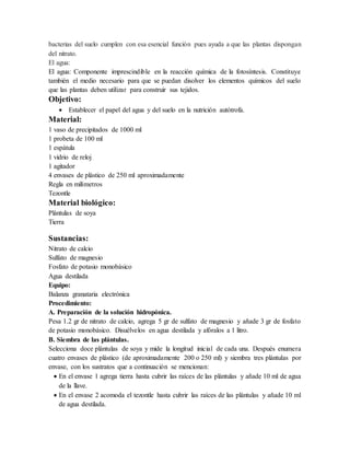 bacterias del suelo cumplen con esa esencial función pues ayuda a que las plantas dispongan 
del nitrato. 
El agua: 
El agua: Componente imprescindible en la reacción química de la fotosíntesis. Constituye 
también el medio necesario para que se puedan disolver los elementos químicos del suelo 
que las plantas deben utilizar para construir sus tejidos. 
Objetivo: 
 Establecer el papel del agua y del suelo en la nutrición autótrofa. 
Material: 
1 vaso de precipitados de 1000 ml 
1 probeta de 100 ml 
1 espátula 
1 vidrio de reloj 
1 agitador 
4 envases de plástico de 250 ml aproximadamente 
Regla en milímetros 
Tezontle 
Material biológico: 
Plántulas de soya 
Tierra 
Sustancias: 
Nitrato de calcio 
Sulfato de magnesio 
Fosfato de potasio monobásico 
Agua destilada 
Equipo: 
Balanza granataria electrónica 
Procedimiento: 
A. Preparación de la solución hidropónica. 
Pesa 1.2 gr de nitrato de calcio, agrega 5 gr de sulfato de magnesio y añade 3 gr de fosfato 
de potasio monobásico. Disuélvelos en agua destilada y afóralos a 1 litro. 
B. Siembra de las plántulas. 
Selecciona doce plántulas de soya y mide la longitud inicial de cada una. Después enumera 
cuatro envases de plástico (de aproximadamente 200 o 250 ml) y siembra tres plántulas por 
envase, con los sustratos que a continuación se mencionan: 
 En el envase 1 agrega tierra hasta cubrir las raíces de las plántulas y añade 10 ml de agua 
de la llave. 
 En el envase 2 acomoda el tezontle hasta cubrir las raíces de las plántulas y añade 10 ml 
de agua destilada. 
 