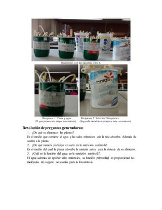 Recipientes con las muestras el día 1. 
Recipiente 1. Tierra y agua Recipiente 2. Solución Hidropónica 
(El que presentaría mayor crecimiento) (Segunda muestra en presentar más crecimiento) 
Resolución de preguntas generadoras: 
1. ¿De qué se alimentan las plantas? 
Es el medio que contiene el agua y las sales minerales que la raíz absorbe. Además da 
sostén a la planta. 
2. ¿De qué manera participa el suelo en la nutrición autótrofa? 
Es el medio del cual la planta absorbe la materia prima para la síntesis de su alimento. 
3. ¿Cuál es la función del agua en la nutrición autótrofa? 
El agua además de aportar sales minerales, su función primordial es proporcional las 
moléculas de oxígeno necesarias para la fotosíntesis. 
 