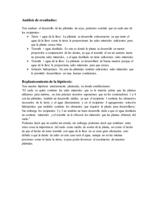 Análisis de resultados: 
Tras analizar el desarrollo de las plántulas de soya, podemos concluir que en cada uno de 
los recipientes: 
 Tierra + agua de la llave: La plántula se desarrolla exitosamente ya que tanto el 
agua de la llave como la tierra le proporcionan las sales minerales suficientes para 
que la planta crezca bien. 
 Tezontle + agua destilada: Es este es donde la planta se desarrolla en menor 
proporción a comparación de las demás, ya que el tezontle al ser un sustrato inerte 
no presenta sales minerales, y el agua destilada no tiene suficientes sales minerales. 
 Tezontle + agua de la llave: La plántula se desarrollará de buena manera porque el 
agua de la llave le proporciona sales minerales para que crezca. 
 Solución hidropónica: En este las plántulas tendrán suficientes sales minerales que 
le permitirá desarrollarse en muy buenas condiciones. 
Replanteamiento de la hipótesis: 
Tras nuestra hipótesis anteriormente planteada, en donde establecíamos: 
“El suelo es quien contiene las sales minerales que es la materia prima que las plantas 
utilizaran para nutrirse, en ésta práctica nosotros suponemos que en los contenedores 1 y 4 
con las plántulas, tendrán un desarrollo similar, ya que el recipiente 1 contiene los elementos 
necesarios de la tierra y el agua directamente y en el recipiente 4 agregaremos solución 
hidropónica que también contiene los elementos que requiere la planta para desarrollarse. 
Sin embargo los recipientes 2 y 3 no tendrán un buen desarrollo dado a que el agua destilada 
no contiene minerales y el tezontle no le ofrecerá los minerales que las plantas obtienen del 
suelo.” 
Podemos decir que no estaba tan errada, sin embargo podemos decir que omitimos entre 
otras cosas la importancia del suelo como medio de sostén de la planta, así como el hecho 
de que el hecho de tener tezontle con agua de la llave no se vería gran afectación, esto 
debido a que la fuente de sales en este caso será el agua, aunque no en las mismas 
porciones como lo haría la tierra, si para poder favorecer el crecimiento de nuestras 
plántulas. 
 