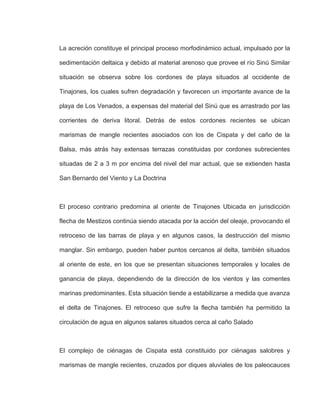 La acreción constituye el principal proceso morfodinámico actual, impulsado por la
sedimentación deltaica y debido al material arenoso que provee el río Sinú Similar
situación se observa sobre los cordones de playa situados al occidente de
Tinajones, los cuales sufren degradación y favorecen un importante avance de la
playa de Los Venados, a expensas del material del Sinú que es arrastrado por las
corrientes de deriva litoral. Detrás de estos cordones recientes se ubican
marismas de mangle recientes asociados con los de Cispata y del caño de la
Balsa, más atrás hay extensas terrazas constituidas por cordones subrecientes
situadas de 2 a 3 m por encima del nivel del mar actual, que se extienden hasta
San Bernardo del Viento y La Doctrina
El proceso contrario predomina al oriente de Tinajones Ubicada en jurisdicción
flecha de Mestizos continúa siendo atacada por la acción del oleaje, provocando el
retroceso de las barras de playa y en algunos casos, la destrucción del mismo
manglar. Sin embargo, pueden haber puntos cercanos al delta, también situados
al oriente de este, en los que se presentan situaciones temporales y locales de
ganancia de playa, dependiendo de la dirección de los vientos y las comentes
marinas predominantes. Esta situación tiende a estabilizarse a medida que avanza
el delta de Tinajones. El retroceso que sufre la flecha también ha permitido la
circulación de agua en algunos salares situados cerca al caño Salado
El complejo de ciénagas de Cispata está constituido por ciénagas salobres y
marismas de mangle recientes, cruzados por diques aluviales de los paleocauces
 