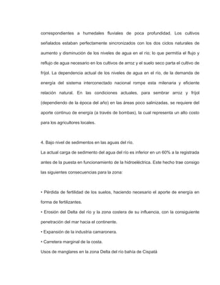 correspondientes a humedales fluviales de poca profundidad. Los cultivos
señalados estaban perfectamente sincronizados con los dos ciclos naturales de
aumento y disminución de los niveles de agua en el río; lo que permitía el flujo y
reflujo de agua necesario en los cultivos de arroz y el suelo seco parta el cultivo de
fríjol. La dependencia actual de los niveles de agua en el río, de la demanda de
energía del sistema interconectado nacional rompe esta milenaria y eficiente
relación natural. En las condiciones actuales, para sembrar arroz y fríjol
(dependiendo de la época del año) en las áreas poco salinizadas, se requiere del
aporte continuo de energía (a través de bombas), la cual representa un alto costo
para los agricultores locales.
4. Bajo nivel de sedimentos en las aguas del río.
La actual carga de sedimento del agua del río es inferior en un 60% a la registrada
antes de la puesta en funcionamiento de la hidroeléctrica. Este hecho trae consigo
las siguientes consecuencias para la zona:
• Pérdida de fertilidad de los suelos, haciendo necesario el aporte de energía en
forma de fertilizantes.
• Erosión del Delta del río y la zona costera de su influencia, con la consiguiente
penetración del mar hacia el continente.
• Expansión de la industria camaronera.
• Carretera marginal de la costa.
Usos de manglares en la zona Delta del río bahía de Cispatá
 
