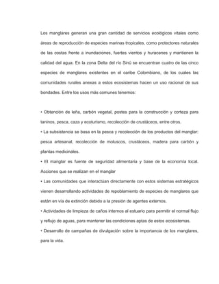 Los manglares generan una gran cantidad de servicios ecológicos vitales como
áreas de reproducción de especies marinas tropicales, como protectores naturales
de las costas frente a inundaciones, fuertes vientos y huracanes y mantienen la
calidad del agua. En la zona Delta del río Sinú se encuentran cuatro de las cinco
especies de manglares existentes en el caribe Colombiano, de los cuales las
comunidades rurales anexas a estos ecosistemas hacen un uso racional de sus
bondades. Entre los usos más comunes tenemos:
• Obtención de leña, carbón vegetal, postes para la construcción y corteza para
taninos, pesca, caza y ecoturismo, recolección de crustáceos, entre otros.
• La subsistencia se basa en la pesca y recolección de los productos del manglar:
pesca artesanal, recolección de moluscos, crustáceos, madera para carbón y
plantas medicinales.
• El manglar es fuente de seguridad alimentaria y base de la economía local.
Acciones que se realizan en el manglar
• Las comunidades que interactúan directamente con estos sistemas estratégicos
vienen desarrollando actividades de repoblamiento de especies de manglares que
están en vía de extinción debido a la presión de agentes externos.
• Actividades de limpieza de caños internos al estuario para permitir el normal flujo
y reflujo de aguas, para mantener las condiciones aptas de estos ecosistemas.
• Desarrollo de campañas de divulgación sobre la importancia de los manglares,
para la vida.
 