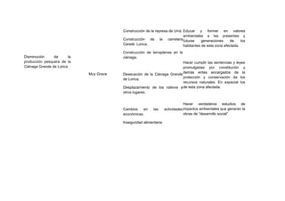 Disminución de la
producción pesquera de la
Ciénaga Grande de Lorica
Muy Grave
Construcción de la represa de Urrá.
Construcción de la carretera
Cereté- Lorica.
Construcción de terraplenes en la
ciénaga.
Desecación de la Ciénaga Grande
de Lorica.
Desplazamiento de los nativos a
otros lugares.
Cambios en las actividades
económicas.
Inseguridad alimentaria.
Educar y formar en valores
ambientales a las presentes y
futuras generaciones de los
habitantes de esta zona afectada.
Hacer cumplir las sentencias y leyes
promulgadas por constitución y
demás entes encargados de la
protección y conservación de los
recursos naturales. En especial los
de esta zona afectada.
Hacer verdaderos estudios de
impactos ambientales que generan la
obras de “desarrollo social”
 