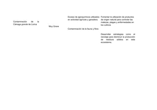 Contaminación de la
Ciénaga grande de Lorica
Muy Grave
Exceso de agroquímicos utilizados
en actividad agrícola y ganadera.
Contaminación de la fauna y flora
Fomentar la utilización de productos
de origen natural para controlar las
malezas, plagas y enfermedades en
los cultivos
Desarrollar estrategias como el
reciclaje para disminuir la producción
de residuos sólidos en este
ecosistema.
 