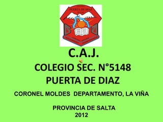 C.A.J.
     COLEGIO SEC. N°5148
       PUERTA DE DIAZ
CORONEL MOLDES DEPARTAMENTO, LA VIÑA

          PROVINCIA DE SALTA
                2012
 