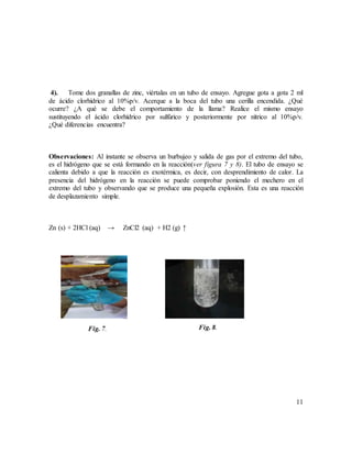 11
4). Tome dos granallas de zinc, viértalas en un tubo de ensayo. Agregue gota a gota 2 ml
de ácido clorhídrico al 10%p/v. Acerque a la boca del tubo una cerilla encendida. ¿Qué
ocurre? ¿A qué se debe el comportamiento de la llama? Realice el mismo ensayo
sustituyendo el ácido clorhídrico por sulfúrico y posteriormente por nítrico al 10%p/v.
¿Qué diferencias encuentra?
Observaciones: Al instante se observa un burbujeo y salida de gas por el extremo del tubo,
es el hidrógeno que se está formando en la reacción(ver figura 7 y 8). El tubo de ensayo se
calienta debido a que la reacción es exotérmica, es decir, con desprendimiento de calor. La
presencia del hidrógeno en la reacción se puede comprobar poniendo el mechero en el
extremo del tubo y observando que se produce una pequeña explosión. Esta es una reacción
de desplazamiento simple.
Zn (s) + 2HCl (aq) → ZnCl2 (aq) + H2 (g) ↑
Fig. 7. Fig. 8.
 