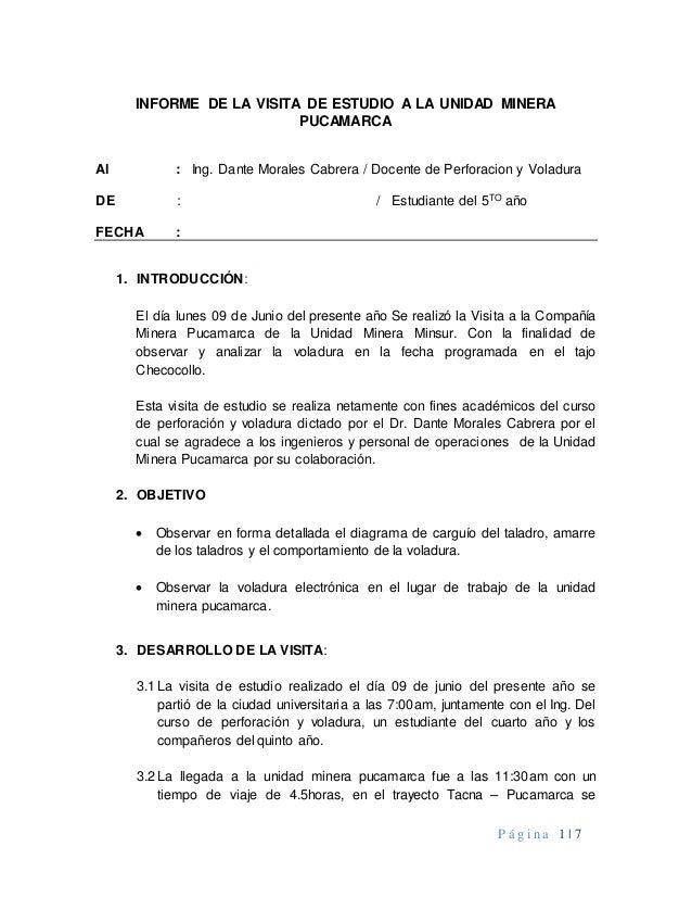 Informe de salida de campo pucamarca