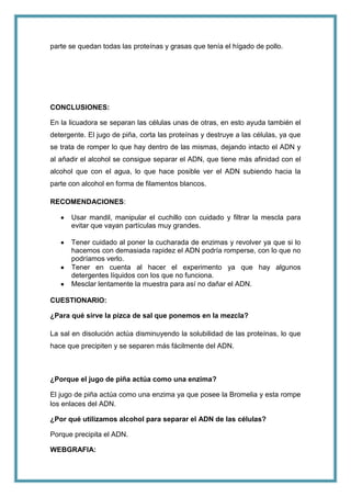parte se quedan todas las proteínas y grasas que tenía el hígado de pollo.

CONCLUSIONES:
En la licuadora se separan las células unas de otras, en esto ayuda también el
detergente. El jugo de piña, corta las proteínas y destruye a las células, ya que
se trata de romper lo que hay dentro de las mismas, dejando intacto el ADN y
al añadir el alcohol se consigue separar el ADN, que tiene más afinidad con el
alcohol que con el agua, lo que hace posible ver el ADN subiendo hacia la
parte con alcohol en forma de filamentos blancos.
RECOMENDACIONES:
Usar mandil, manipular el cuchillo con cuidado y filtrar la mescla para
evitar que vayan partículas muy grandes.
Tener cuidado al poner la cucharada de enzimas y revolver ya que si lo
hacemos con demasiada rapidez el ADN podría romperse, con lo que no
podríamos verlo.
Tener en cuenta al hacer el experimento ya que hay algunos
detergentes líquidos con los que no funciona.
Mesclar lentamente la muestra para así no dañar el ADN.
CUESTIONARIO:
¿Para qué sirve la pizca de sal que ponemos en la mezcla?
La sal en disolución actúa disminuyendo la solubilidad de las proteínas, lo que
hace que precipiten y se separen más fácilmente del ADN.

¿Porque el jugo de piña actúa como una enzima?
El jugo de piña actúa como una enzima ya que posee la Bromelia y esta rompe
los enlaces del ADN.
¿Por qué utilizamos alcohol para separar el ADN de las células?
Porque precipita el ADN.
WEBGRAFIA:

 