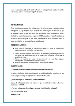 parte acuosa se queda en la parte inferior, en esta parte se quedan todas las
proteínas y grasas que tenía el hígado de pollo.

CONCLUSIONES:
En la licuadora se separan las células unas de otras, en esto ayuda también el
detergente. El jugo de piña, corta las proteínas y destruye a las células, ya que
se trata de romper lo que hay dentro de las mismas, dejando intacto el ADN y
al añadir el alcohol se consigue separar el ADN, que tiene más afinidad con el
alcohol que con el agua, lo que hace posible ver el ADN subiendo hacia la
parte con alcohol en forma de filamentos blancos.
RECOMENDACIONES:
Usar mandil, manipular el cuchillo con cuidado y filtrar la mescla para
evitar que vayan partículas muy grandes.
Tener cuidado al poner la cucharada de enzimas y revolver ya que si lo
hacemos con demasiada rapidez el ADN podría romperse, con lo que no
podríamos verlo.
Tener en cuenta al hacer el experimento ya que hay algunos
detergentes líquidos con los que no funciona.
Mesclar lentamente la muestra para así no dañar el ADN.
CUESTIONARIO:
¿Para qué sirve la pizca de sal que ponemos en la mezcla?
La sal en disolución actúa disminuyendo la solubilidad de las proteínas, lo que
hace que precipiten y se separen más fácilmente del ADN.
¿Porque el jugo de piña actúa como una enzima?
El jugo de piña actúa como una enzima ya que posee la Bromelia y esta rompe
los enlaces del ADN.
¿Por qué utilizamos alcohol para separar el ADN de las células?
Porque precipita el ADN.
WEBGRAFIA:

 