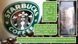 - Los granos del
café que utilizan
alrededor del
mundo es el
Espresso que es
una mezcla de
cafés de
Latinoamérica y la
región Asia,
Pacífico
- Hay dos especies de plantas
importantes desde un punto de
vista comercial: granos de café
arábica y granos de café
“canephora” o robusta.
- Los granos de café arábica crecen mejor en grandes altitudes, tiene un sabor más refinado
que otras especies y contienen cerca de 1% de cafeína por peso.
 