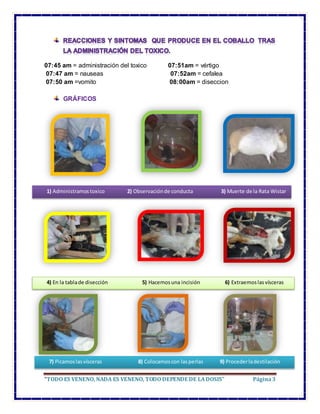 “TODO ES VENENO, NADA ES VENENO, TODO DEPENDE DE LADOSIS” Página3
07:45 am = administración del toxico 07:51am = vértigo
0...