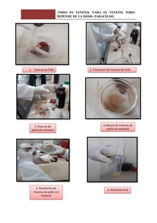 [TODO ES VENENO, NADA ES VENENO. TODO
DEPENDE DE LA DOSIS. PARACELSO]
1. Víscerasde Pollo 2. Trituración de Vísceras de Pollo
3. Vísceras de
pollo con metanol
4. Mezcla de Vísceras de
pollo con metanol
6. Destilado final
5. Destilación de
Vísceras de pollo con
metanol
 
