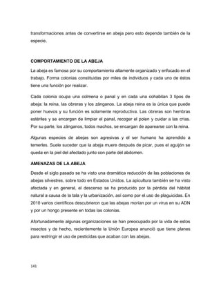 141
transformaciones antes de convertirse en abeja pero esto depende también de la
especie.
COMPORTAMIENTO DE LA ABEJA
La abeja es famosa por su comportamiento altamente organizado y enfocado en el
trabajo. Forma colonias constituidas por miles de individuos y cada uno de éstos
tiene una función por realizar.
Cada colonia ocupa una colmena o panal y en cada una cohabitan 3 tipos de
abeja: la reina, las obreras y los zánganos. La abeja reina es la única que puede
poner huevos y su función es solamente reproductiva. Las obreras son hembras
estériles y se encargan de limpiar el panal, recoger el polen y cuidar a las crías.
Por su parte, los zánganos, todos machos, se encargan de aparearse con la reina.
Algunas especies de abejas son agresivas y el ser humano ha aprendido a
temerles. Suele suceder que la abeja muere después de picar, pues el aguijón se
queda en la piel del afectado junto con parte del abdomen.
AMENAZAS DE LA ABEJA
Desde el siglo pasado se ha visto una dramática reducción de las poblaciones de
abejas silvestres, sobre todo en Estados Unidos. La apicultura también se ha visto
afectada y en general, el descenso se ha producido por la pérdida del hábitat
natural a causa de la tala y la urbanización, así como por el uso de plaguicidas. En
2010 varios científicos descubrieron que las abejas morían por un virus en su ADN
y por un hongo presente en todas las colonias.
Afortunadamente algunas organizaciones se han preocupado por la vida de estos
insectos y de hecho, recientemente la Unión Europea anunció que tiene planes
para restringir el uso de pesticidas que acaban con las abejas.
 